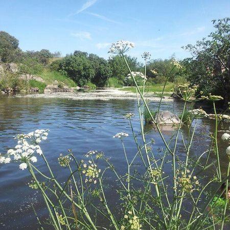 Casa Rural Y Espacio Para Eventos El Pantano Peñarroya-Pueblonuevo Exterior foto