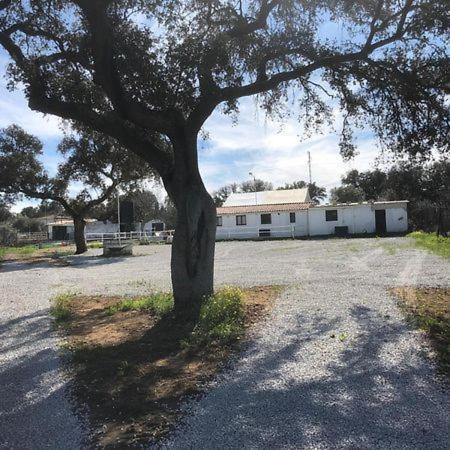 Casa Rural Y Espacio Para Eventos El Pantano Peñarroya-Pueblonuevo Exterior foto